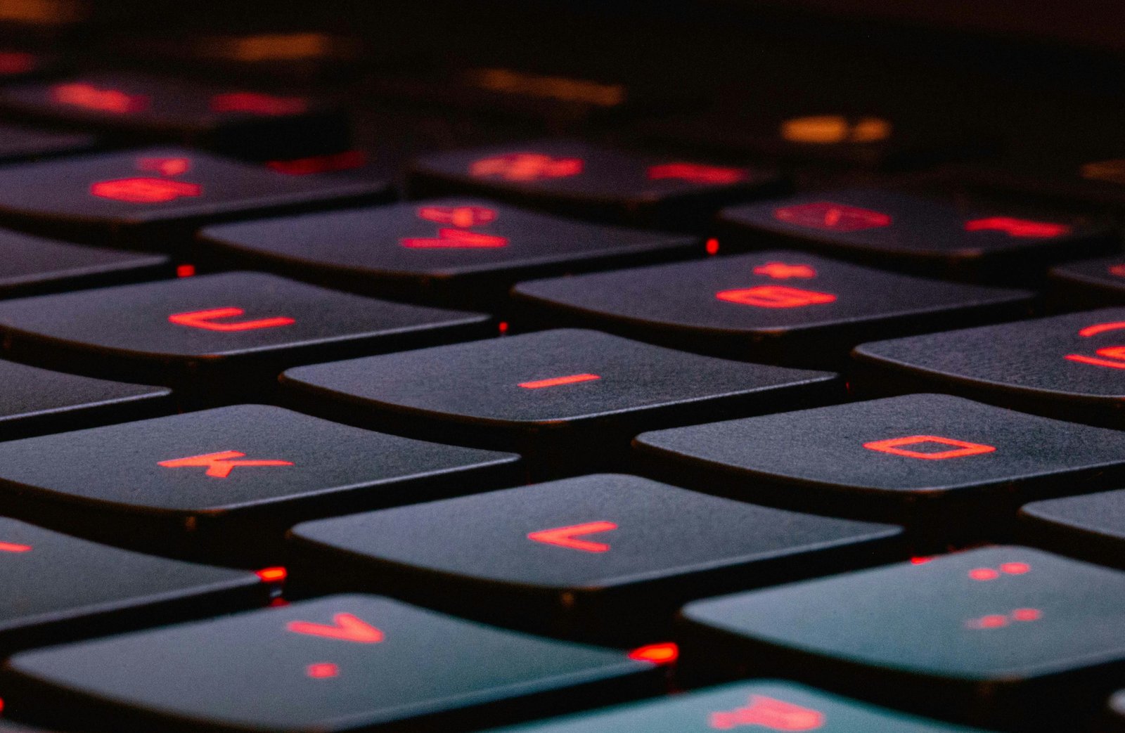dominique-knobben-fdFRAYR_4Is-unsplash